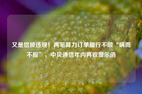 又是信披违规！两笔算力订单履行不顺“瞒而不报”，中贝通信年内再收警示函-第1张图片-彩票联盟