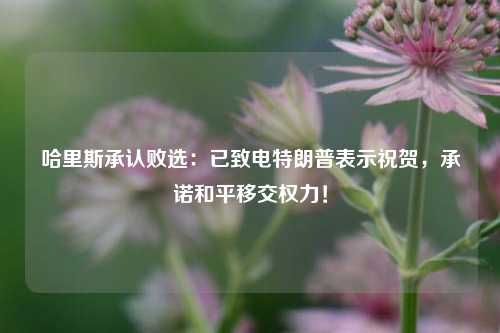 哈里斯承认败选：已致电特朗普表示祝贺，承诺和平移交权力！-第1张图片-彩票联盟