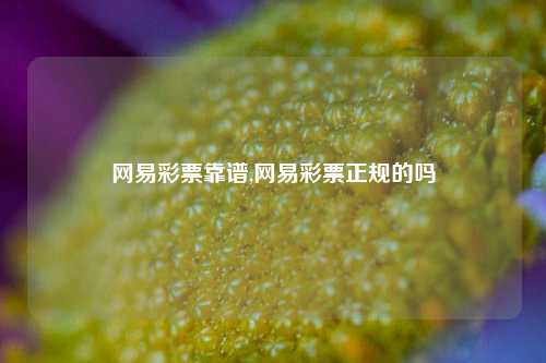 网易彩票靠谱,网易彩票正规的吗-第1张图片-彩票联盟