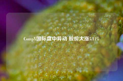 CompX国际盘中异动 股价大涨5.11%-第1张图片-彩票联盟