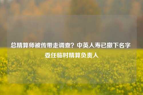 总精算师被传带走调查？中英人寿已撤下名字 委任临时精算负责人-第1张图片-彩票联盟