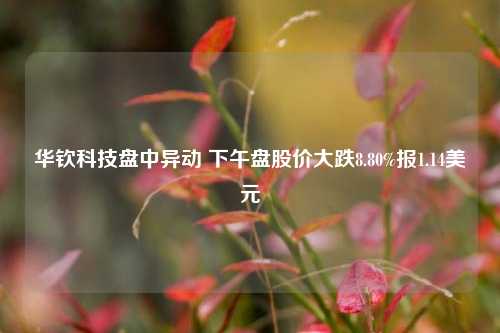 华钦科技盘中异动 下午盘股价大跌8.80%报1.14美元-第1张图片-彩票联盟