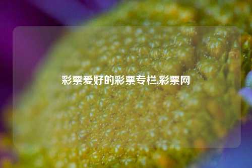 彩票爱好的彩票专栏,彩票网-第1张图片-彩票联盟