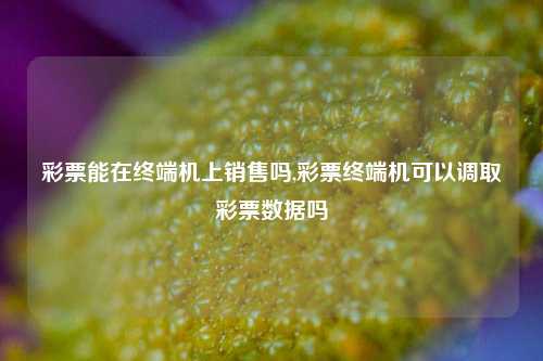 彩票能在终端机上销售吗,彩票终端机可以调取彩票数据吗-第1张图片-彩票联盟