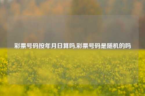 彩票号码按年月日算吗,彩票号码是随机的吗-第1张图片-彩票联盟