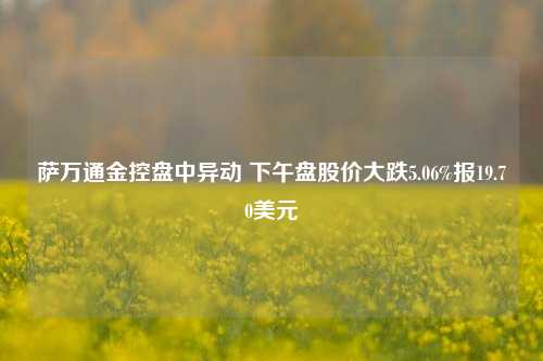 萨万通金控盘中异动 下午盘股价大跌5.06%报19.70美元-第1张图片-彩票联盟