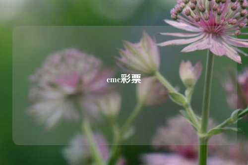 cmc彩票-第1张图片-彩票联盟