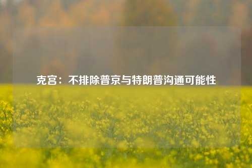 克宫：不排除普京与特朗普沟通可能性-第1张图片-彩票联盟