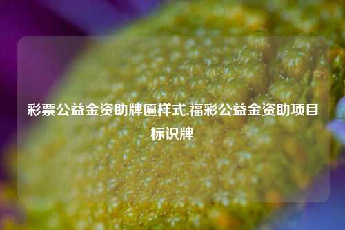 彩票公益金资助牌匾样式,福彩公益金资助项目标识牌-第1张图片-彩票联盟