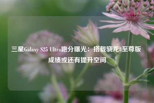 三星Galaxy S25 Ultra跑分曝光：搭载骁龙8至尊版 成绩或还有提升空间-第1张图片-彩票联盟