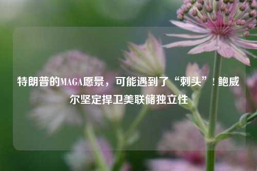 特朗普的MAGA愿景，可能遇到了“刺头”! 鲍威尔坚定捍卫美联储独立性-第1张图片-彩票联盟