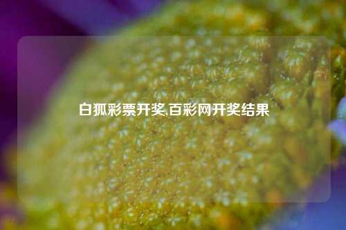 白狐彩票开奖,百彩网开奖结果-第1张图片-彩票联盟