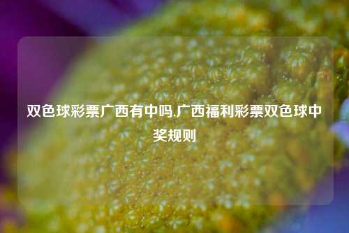 双色球彩票广西有中吗,广西福利彩票双色球中奖规则-第1张图片-彩票联盟