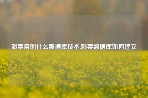 彩票用的什么数据库技术,彩票数据库如何建立-第1张图片-彩票联盟