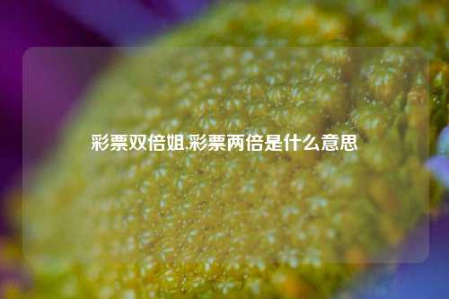 彩票双倍姐,彩票两倍是什么意思-第1张图片-彩票联盟