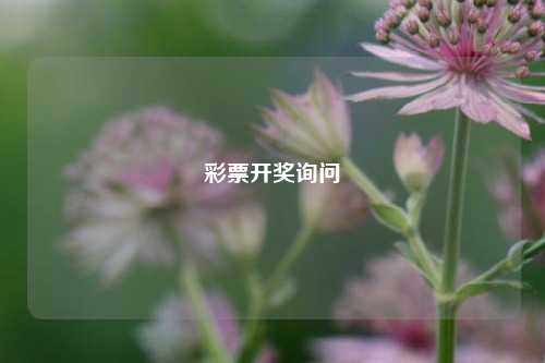 彩票开奖询问-第1张图片-彩票联盟