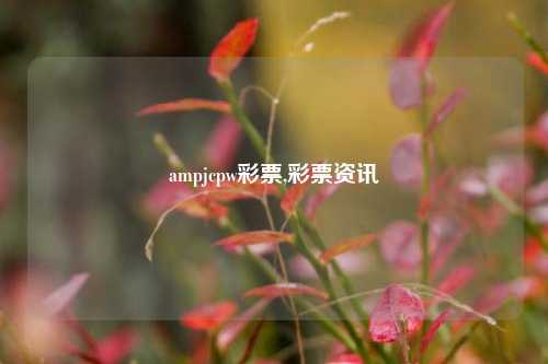 ampjcpw彩票,彩票资讯-第1张图片-彩票联盟