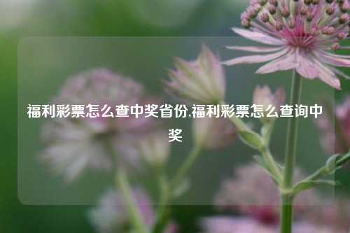 福利彩票怎么查中奖省份,福利彩票怎么查询中奖-第1张图片-彩票联盟