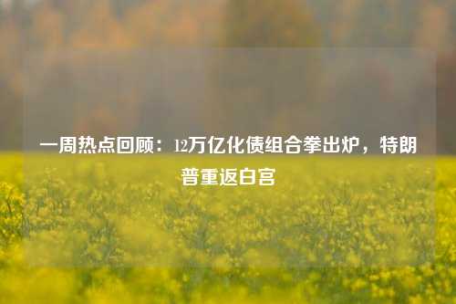 一周热点回顾：12万亿化债组合拳出炉，特朗普重返白宫-第1张图片-彩票联盟