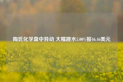 陶氏化学盘中异动 大幅跳水5.00%报46.46美元-第1张图片-彩票联盟