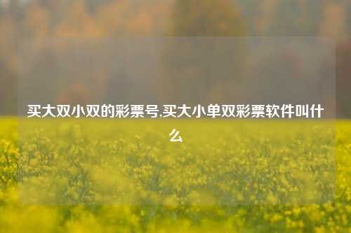 买大双小双的彩票号,买大小单双彩票软件叫什么-第1张图片-彩票联盟