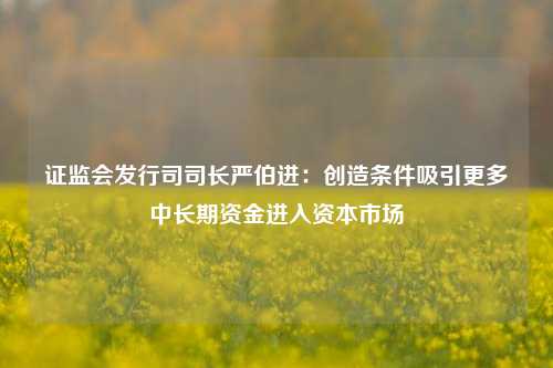 证监会发行司司长严伯进：创造条件吸引更多中长期资金进入资本市场-第1张图片-彩票联盟