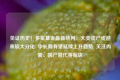 见证历史！多家基金最新研判：大类资产或迎来较大分化  中长期有望延续上升趋势  关注内需、国产替代等板块-第1张图片-彩票联盟