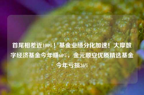 首尾相差近100%！基金业绩分化加速！大摩数字经济基金今年赚60%，金元顺安优质精选基金今年亏损36%-第1张图片-彩票联盟