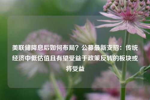 美联储降息后如何布局？公募最新支招：传统经济中低估值且有望受益于政策反转的板块或将受益-第1张图片-彩票联盟