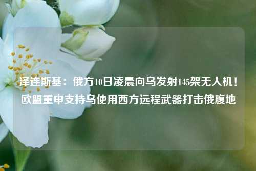 泽连斯基：俄方10日凌晨向乌发射145架无人机！欧盟重申支持乌使用西方远程武器打击俄腹地-第1张图片-彩票联盟