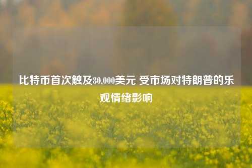 比特币首次触及80,000美元 受市场对特朗普的乐观情绪影响-第1张图片-彩票联盟