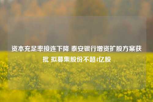 资本充足率接连下降 泰安银行增资扩股方案获批 拟募集股份不超4亿股-第1张图片-彩票联盟