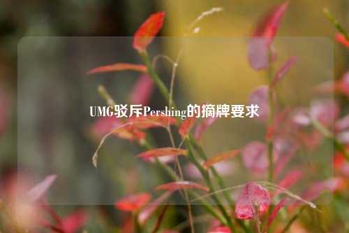 UMG驳斥Pershing的摘牌要求-第1张图片-彩票联盟