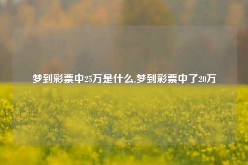 梦到彩票中25万是什么,梦到彩票中了20万-第1张图片-彩票联盟