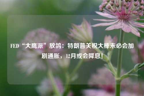 FED“大鹰派”放鸽：特朗普关税大棒未必会加剧通胀，12月或会降息！-第1张图片-彩票联盟