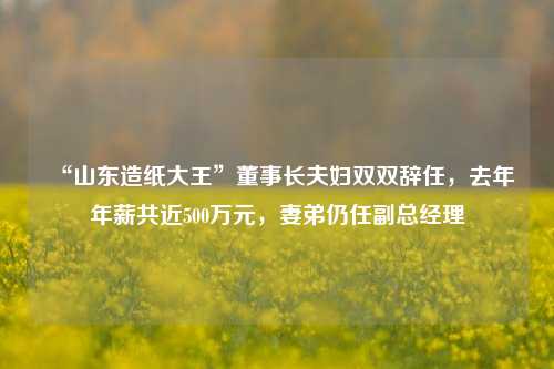 “山东造纸大王”董事长夫妇双双辞任，去年年薪共近500万元，妻弟仍任副总经理-第1张图片-彩票联盟