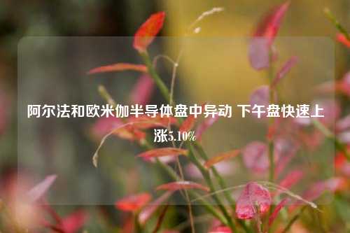 阿尔法和欧米伽半导体盘中异动 下午盘快速上涨5.10%-第1张图片-彩票联盟