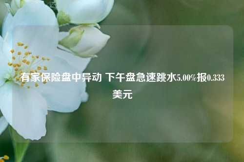 有家保险盘中异动 下午盘急速跳水5.00%报0.333美元-第1张图片-彩票联盟