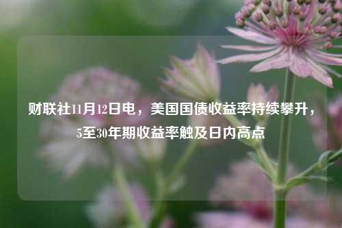 财联社11月12日电，美国国债收益率持续攀升，5至30年期收益率触及日内高点-第1张图片-彩票联盟