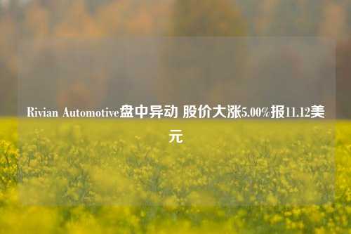 Rivian Automotive盘中异动 股价大涨5.00%报11.12美元-第1张图片-彩票联盟