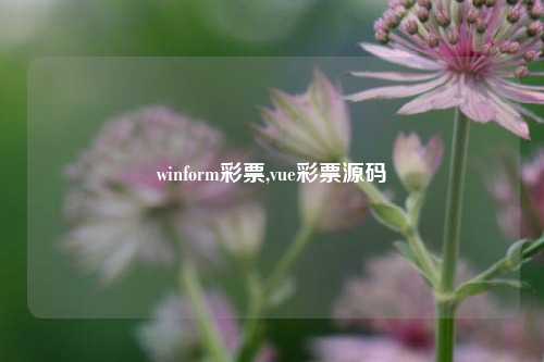 winform彩票,vue彩票源码-第1张图片-彩票联盟