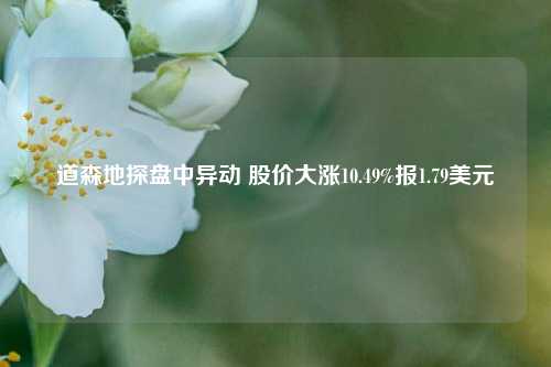 道森地探盘中异动 股价大涨10.49%报1.79美元-第1张图片-彩票联盟