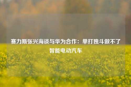 赛力斯张兴海谈与华为合作：单打独斗做不了智能电动汽车-第1张图片-彩票联盟