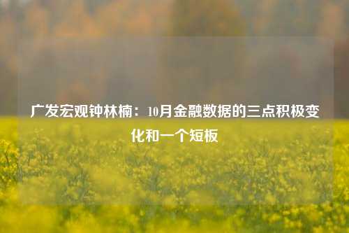 广发宏观钟林楠：10月金融数据的三点积极变化和一个短板-第1张图片-彩票联盟