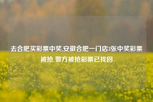 去合肥买彩票中奖,安徽合肥一门店3张中奖彩票被抢 警方被抢彩票已找回-第1张图片-彩票联盟