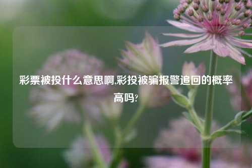 彩票被投什么意思啊,彩投被骗报警追回的概率高吗?-第1张图片-彩票联盟