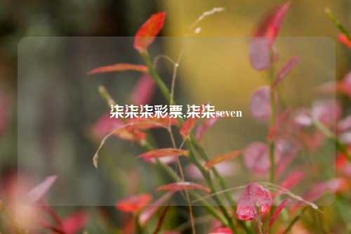 柒柒柒彩票,柒柒seven-第1张图片-彩票联盟