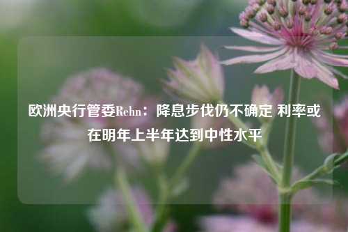 欧洲央行管委Rehn：降息步伐仍不确定 利率或在明年上半年达到中性水平-第1张图片-彩票联盟