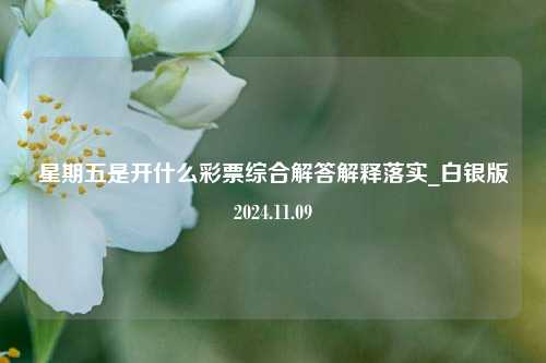 星期五是开什么彩票综合解答解释落实_白银版2024.11.09-第1张图片-彩票联盟