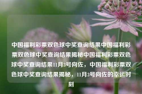 中国福利彩票双色球中奖查询结果中国福利彩票双色球中奖查询结果揭秘中国福利彩票双色球中奖查询结果11月3号向佐，中国福利彩票双色球中奖查询结果揭秘，11月3号向佐的幸运时刻，揭秘11月3号向佐双色球中奖查询结果，中国福利彩票的幸运时刻-第1张图片-彩票联盟